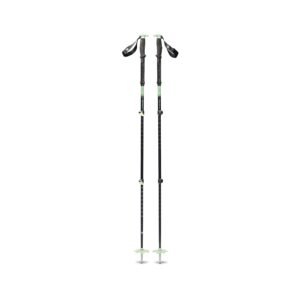Expedition 3 Ski Poles