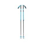 Traverse Ski Poles