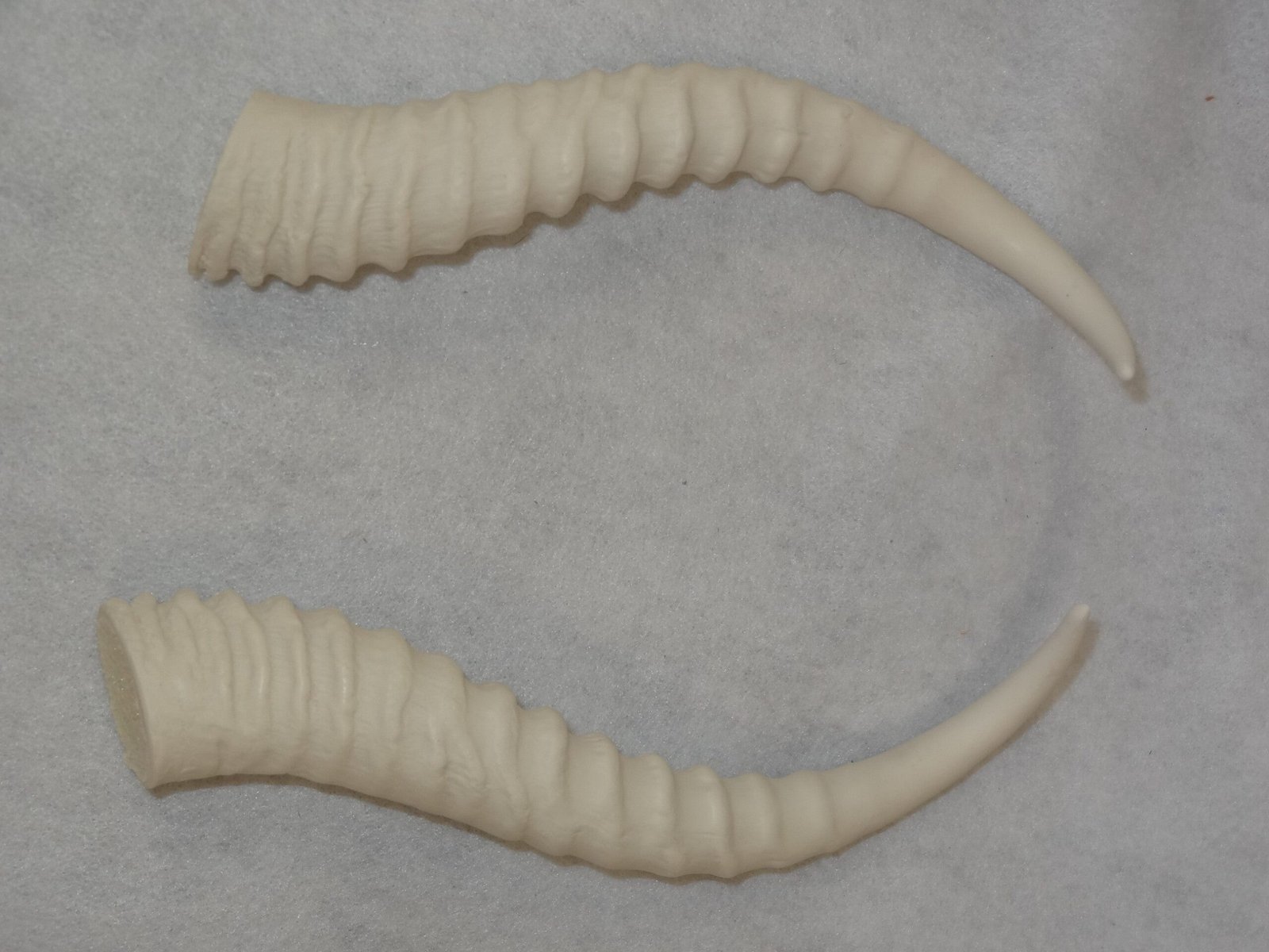 Plastic Opaque Springbok Antelope Horns - Image 7
