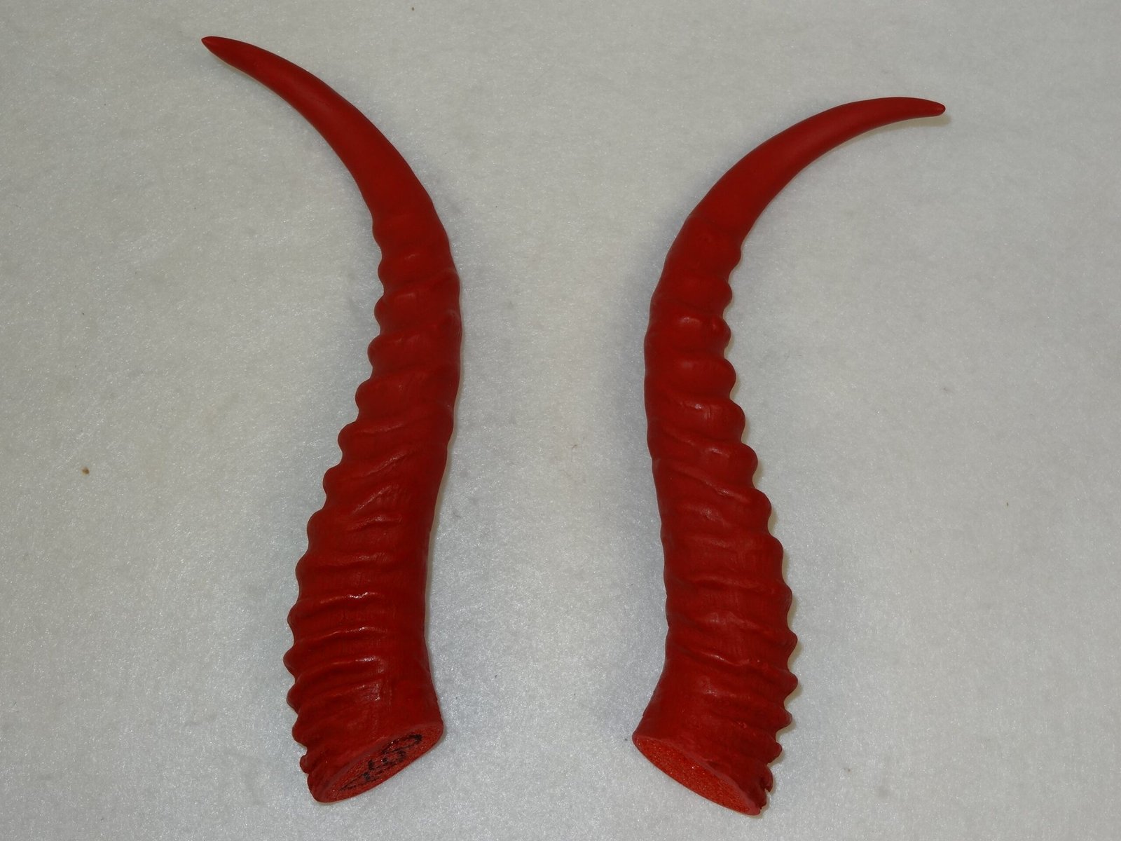Plastic Opaque Springbok Antelope Horns - Image 8