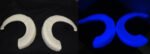 Plastic Glow in the Dark Single Curl Ram Horns