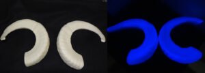 Plastic Glow in the Dark Single Curl Ram Horns
